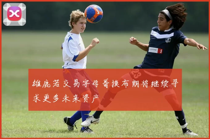 雄鹿若交易字母哥换布朗将继续寻求更多未来资产